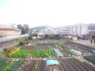 青木住宅の物件内観写真